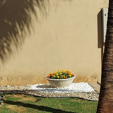 Rogerio - Viana do Castelo - Apartment Cleaning