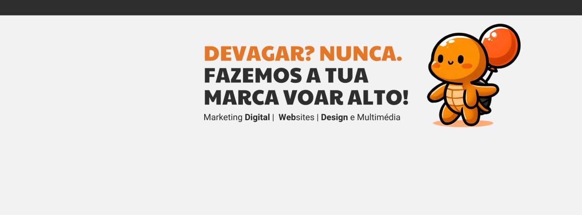 Turtlefly | Marketing - Vila Nova de Gaia - Otimização de Motores de Busca SEO