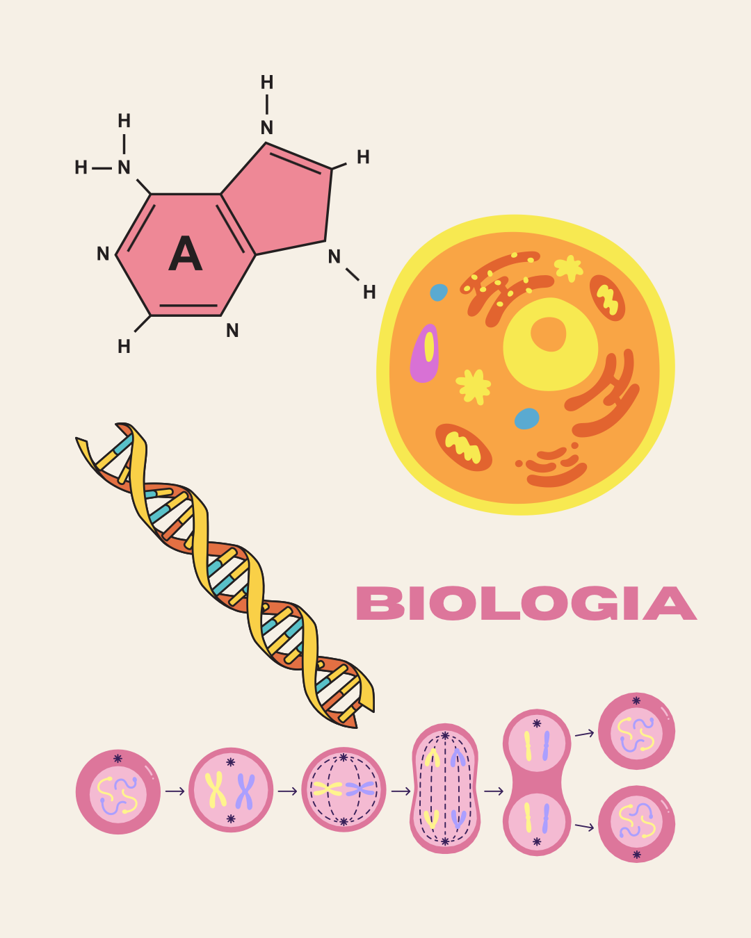 Inês Carolina Lucas - Lisboa - Explicações de Biologia