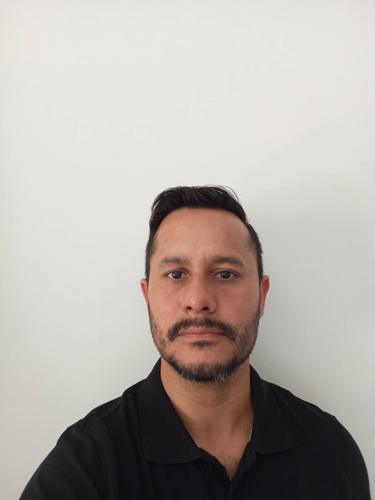 Israel Gonçalves - Oliveira de Azeméis - Teppich verlegen