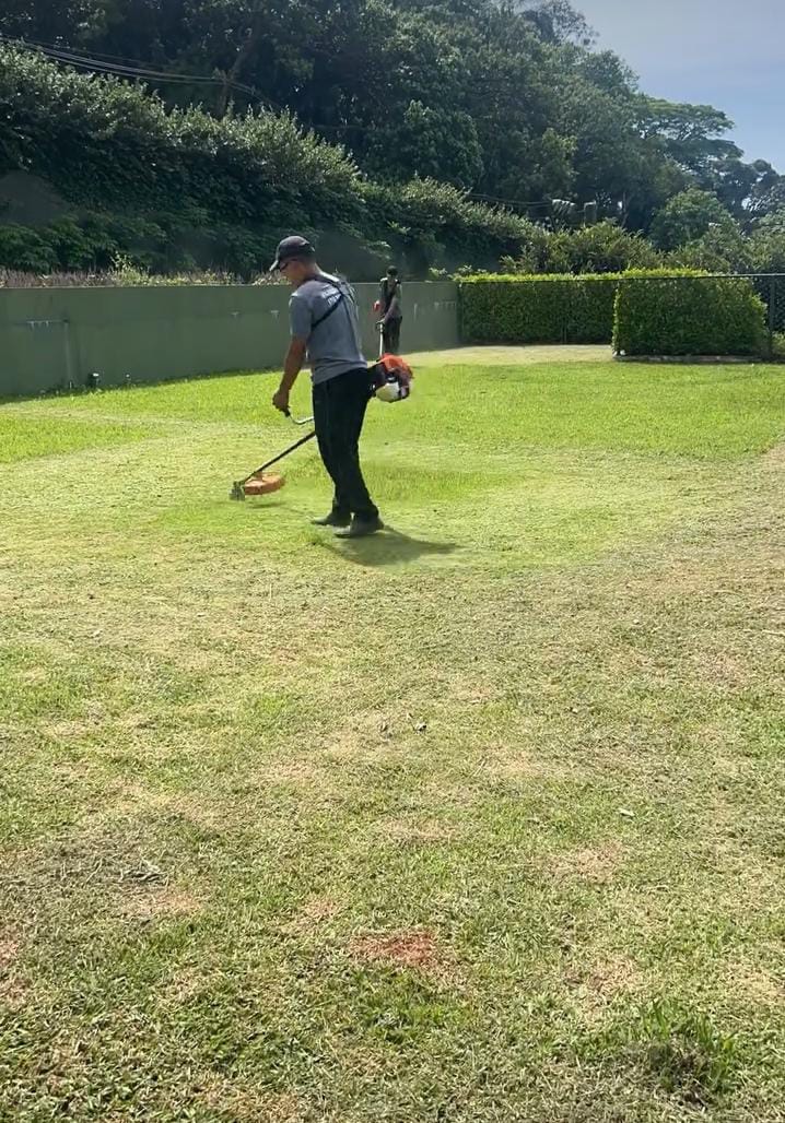 Jardinagem e tudo em ordem - Viana do Castelo - Baumpflege