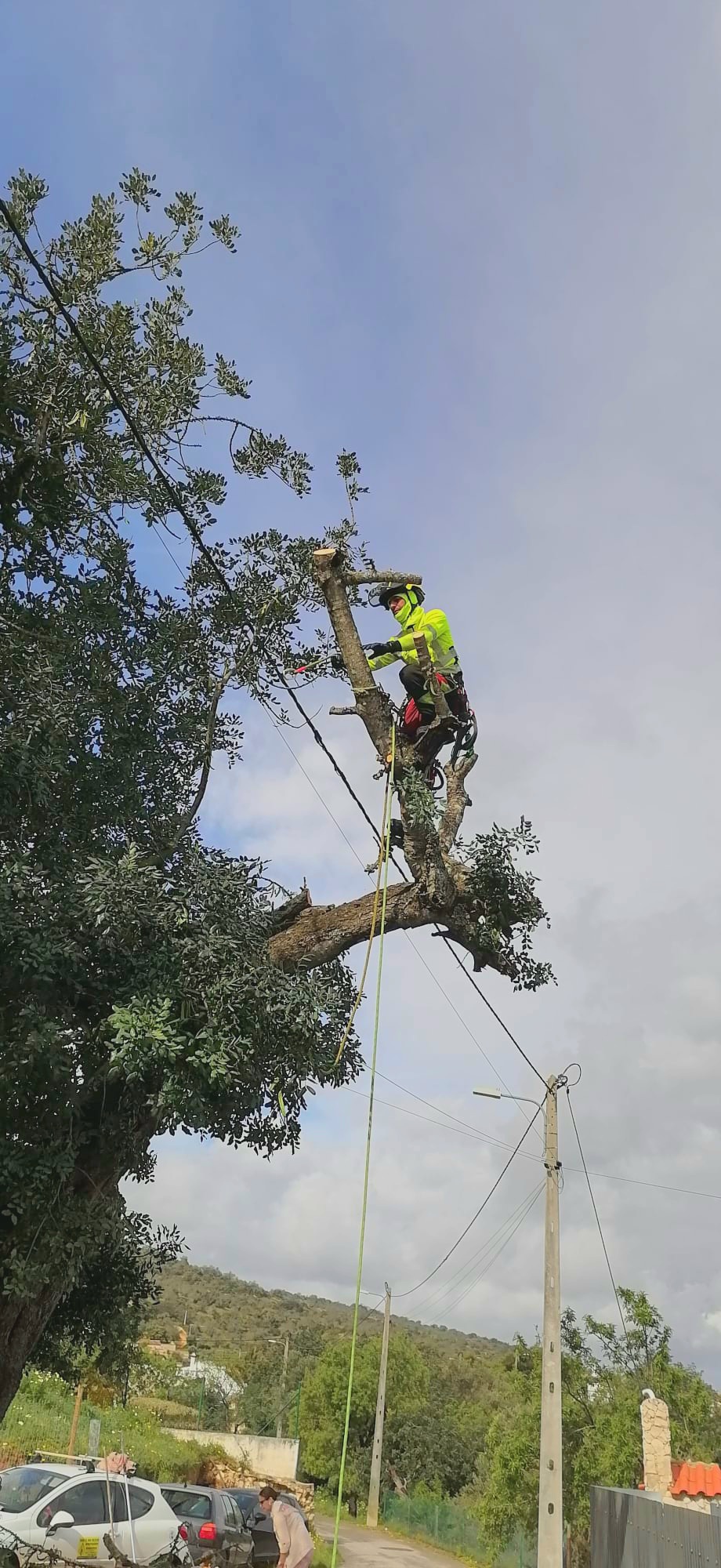Môce do Mato - Arboricultura e Silvicultura - Loulé - Poda e Manutenção de Árvores