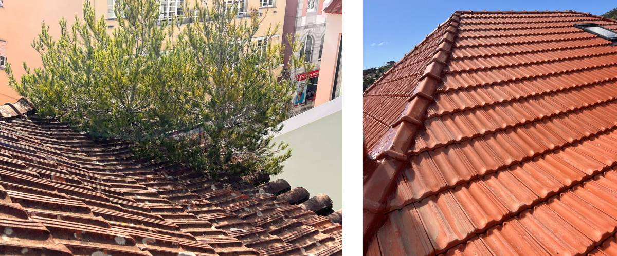 Ricardo Braamcamp, LDA - Odivelas - Stone or Tile Flooring Installation