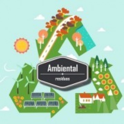 Natura Construções - Beja - Remoção de Tronco de Árvore