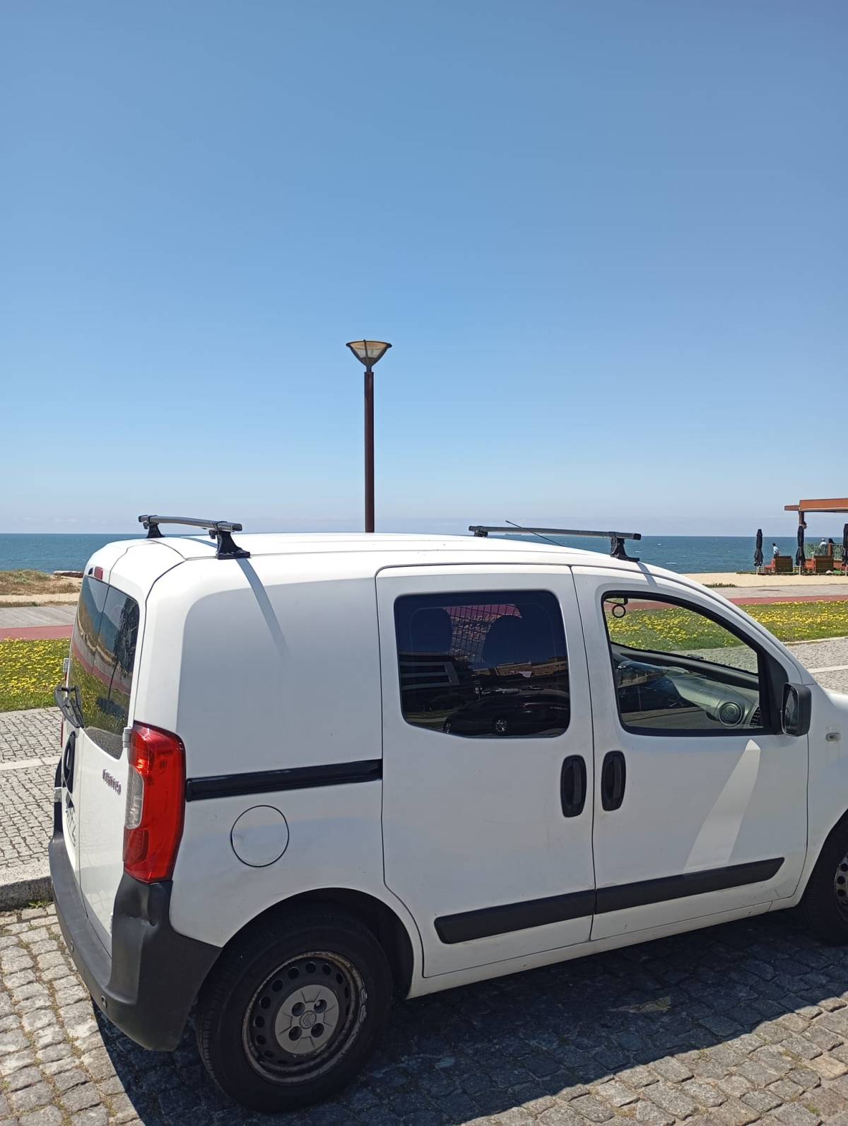FullService Latam - Vila Nova de Gaia - Tree Trimming and Maintenance