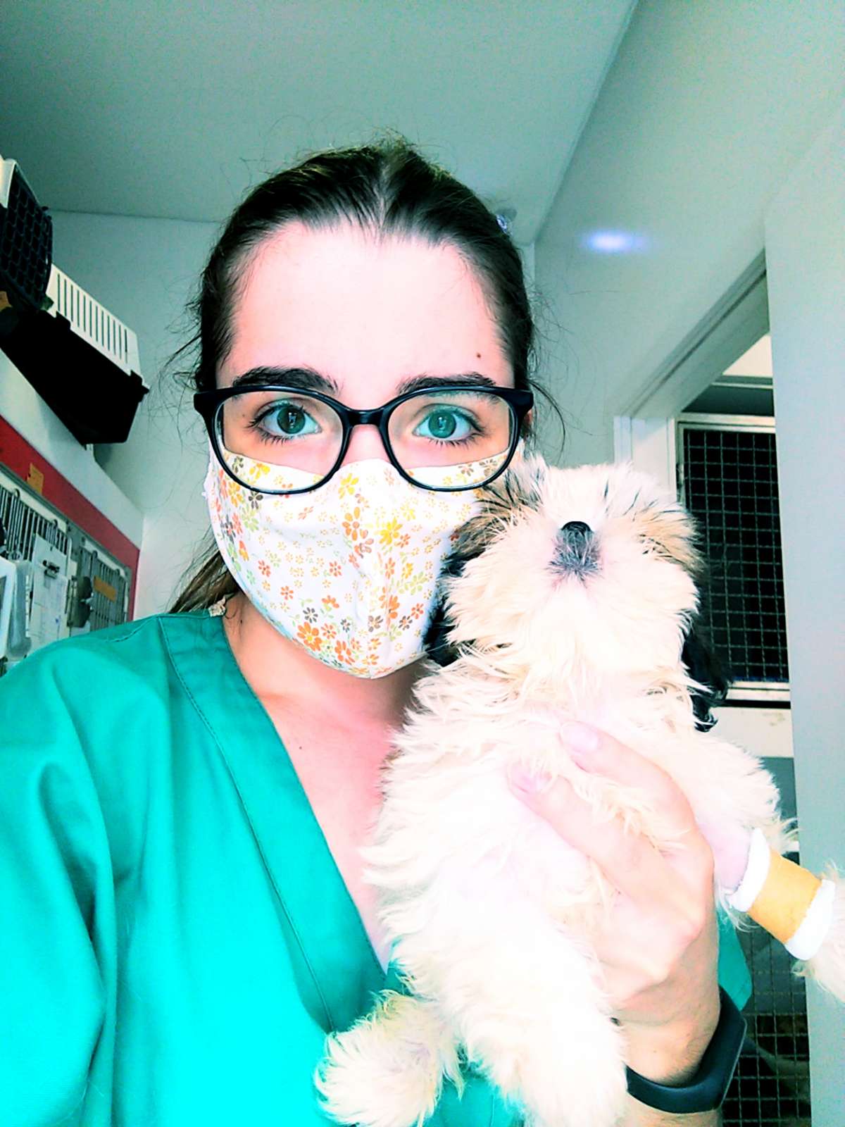 Madalena - Mangualde - Veterinary