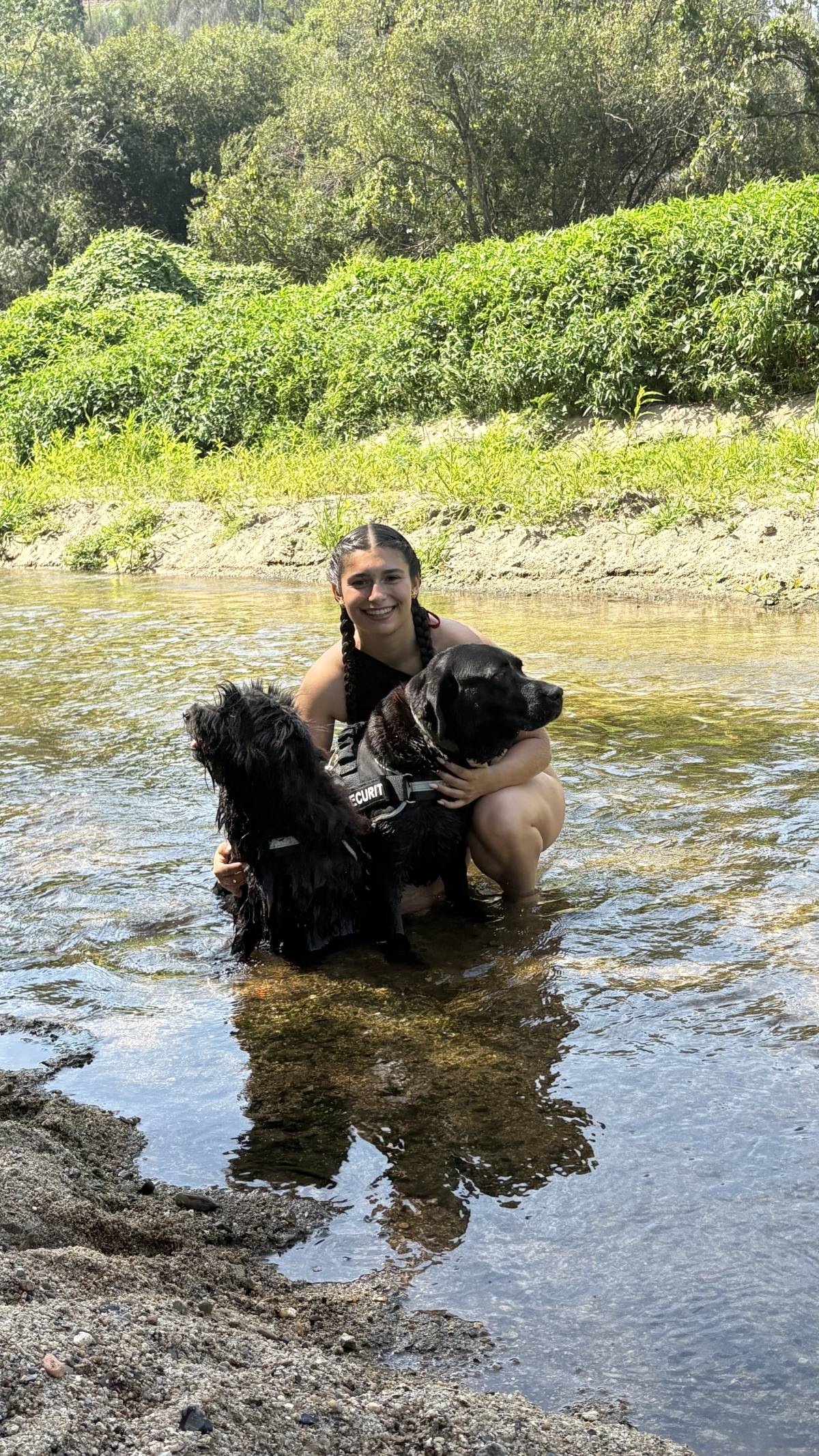 sweet_tails - Gondomar - Hundeausführung
