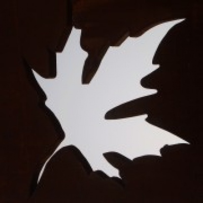 Cristina Carapuça #ideasinmotion - Portimão - Nature Photography