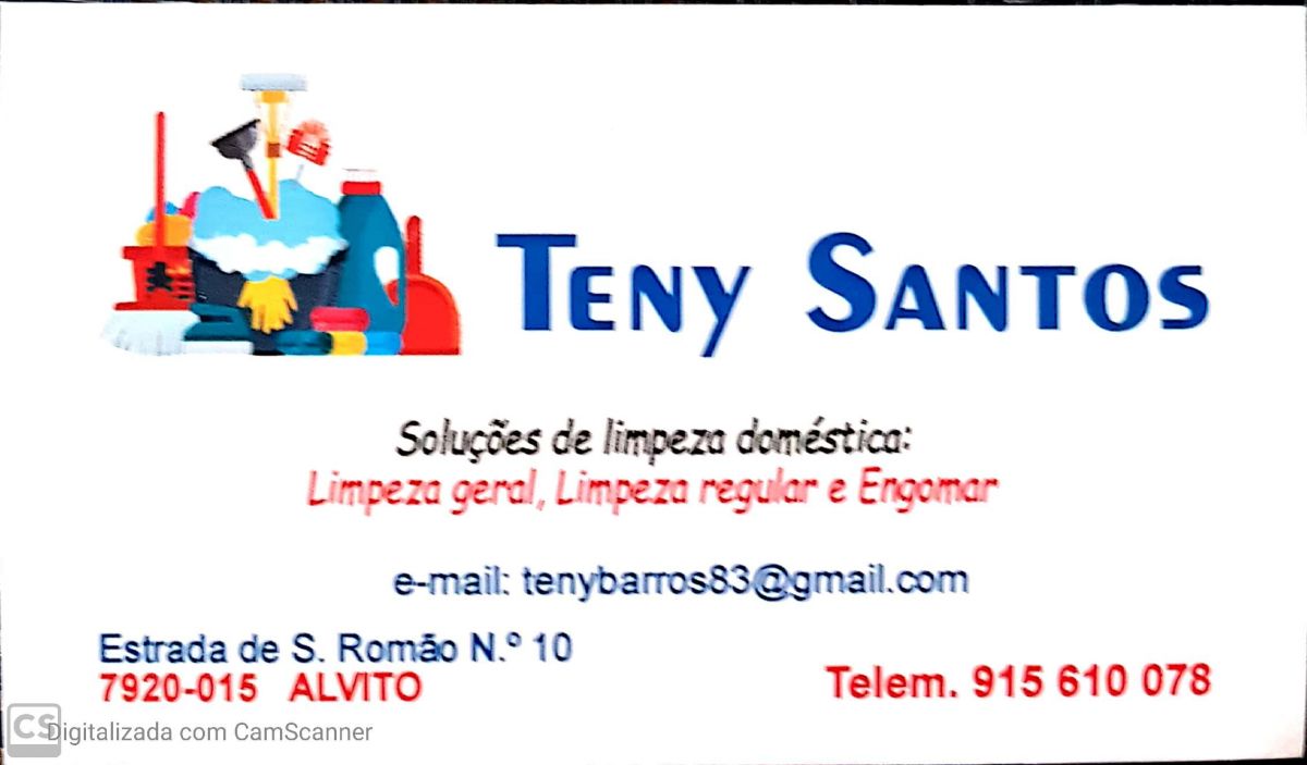 Teny Santos - Alvito - Limpeza de Persianas