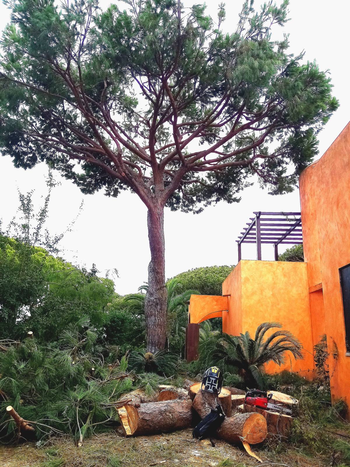 Môce do Mato - Arboricultura e Silvicultura - Loulé - Manutenção de Sistema de Rega Gota a Gota
