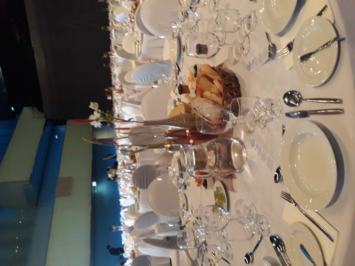 Algarve Views - Event Planner & Catering - Wine Experiences - Silves - Entretenimiento con banda de música