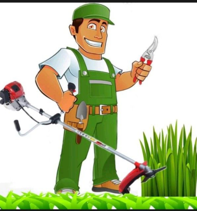 Natura Construções - Beja - Tree Trimming and Maintenance