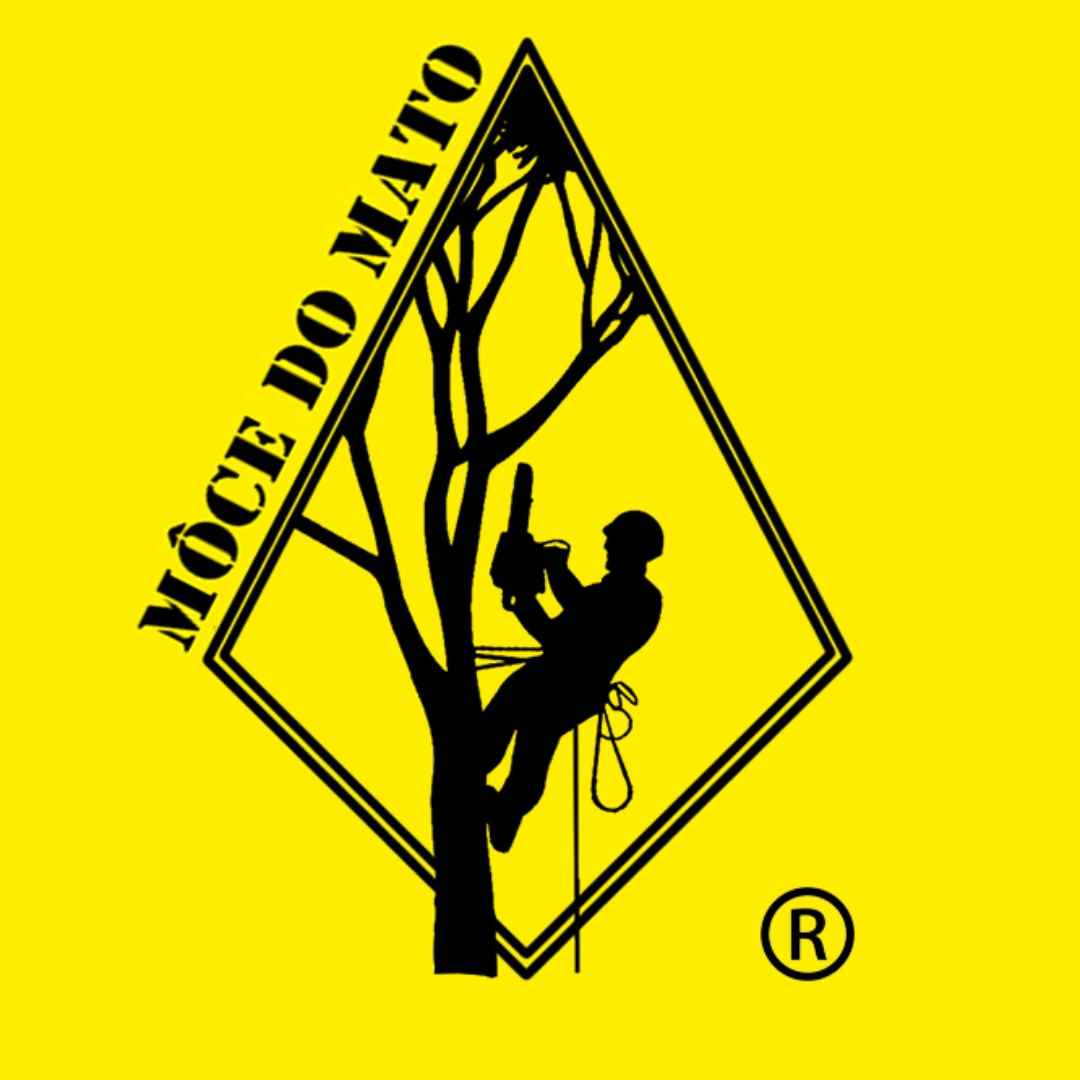 Môce do Mato - Arboricultura e Silvicultura - Loulé - Remoção de Tronco de Árvore
