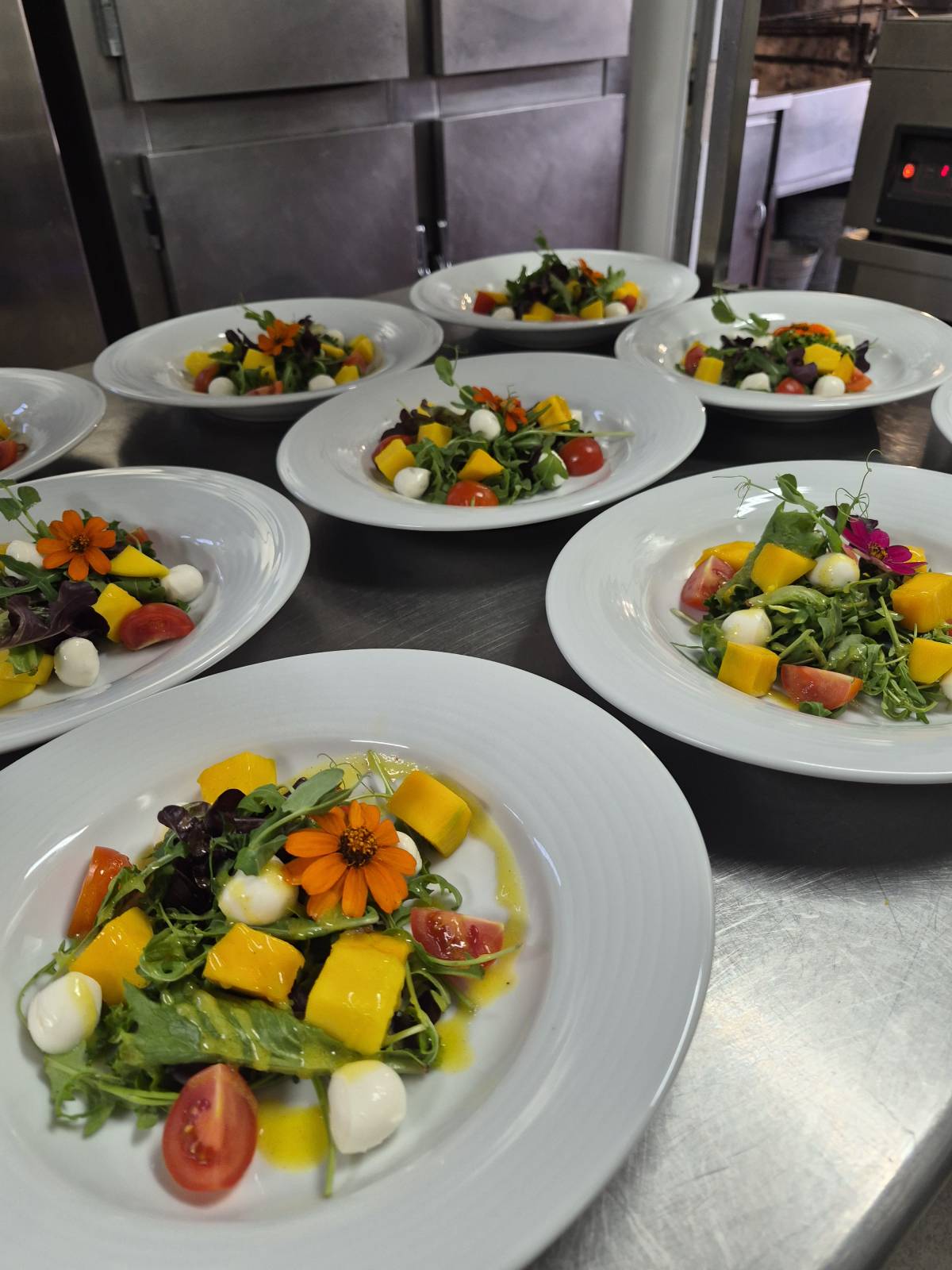 Rodica - Loulé - Cocineros y chefs personales