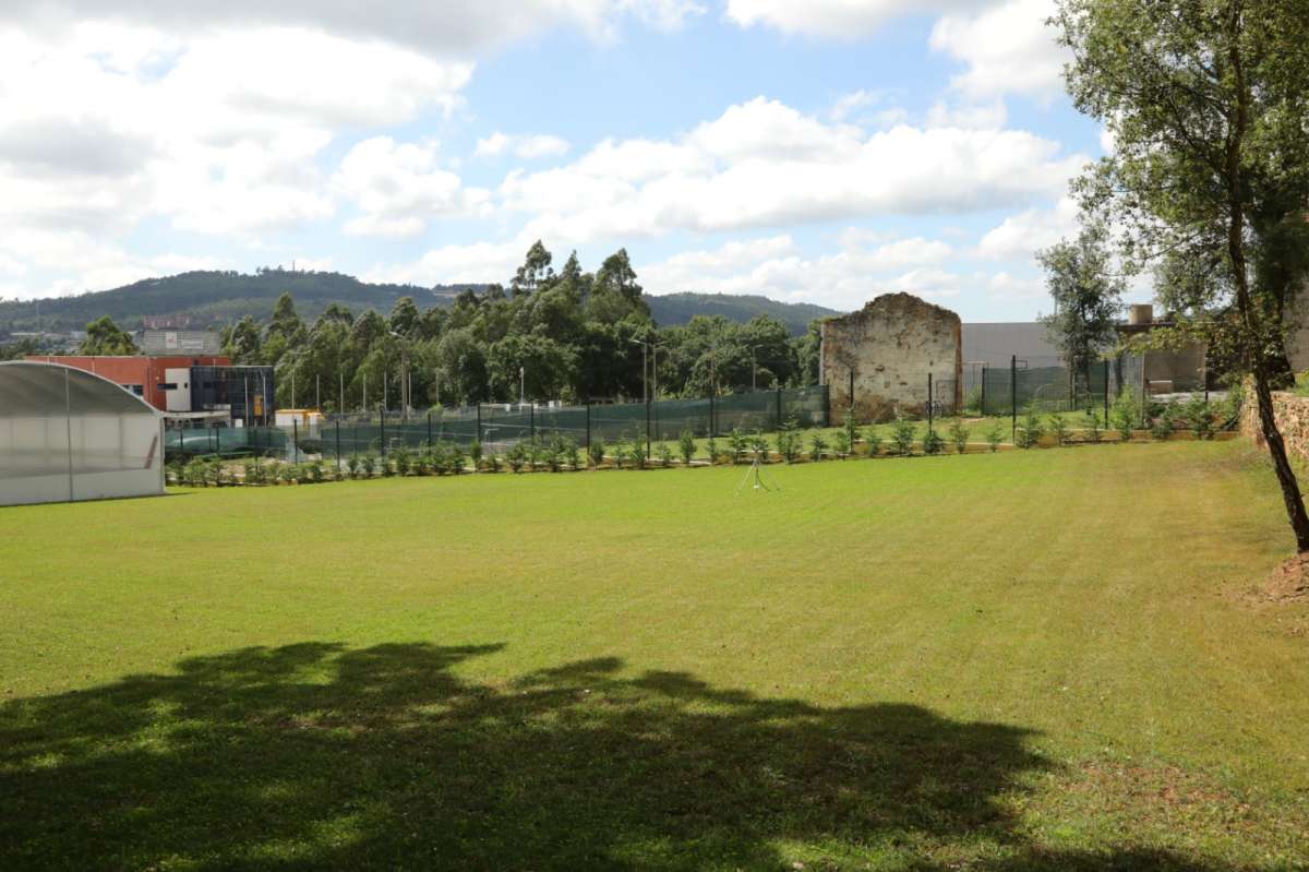 Pata D’ouro - Porto - Treino de Cães