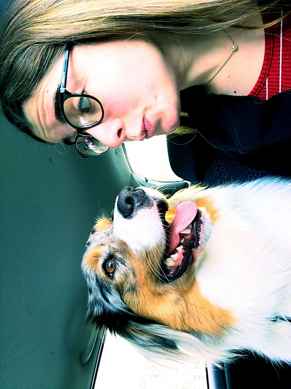 Madalena - Mangualde - Pet Sitting and Walking