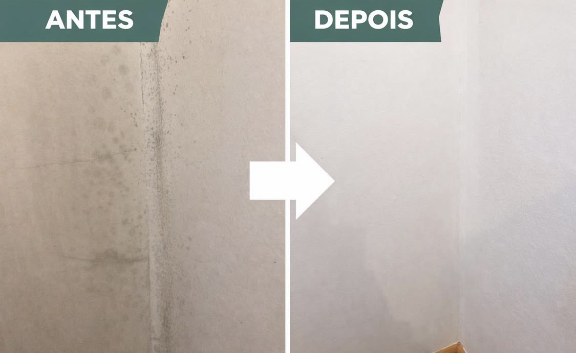 Diana - Paços de Ferreira - Limpeza de Propriedade