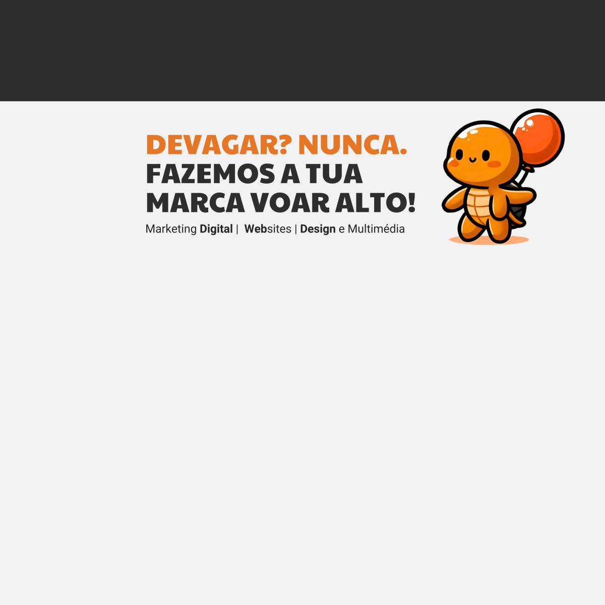 Turtlefly | Marketing - Vila Nova de Gaia - Marketing Digital