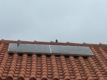 Especialista de Limpeza de Painéis Solares