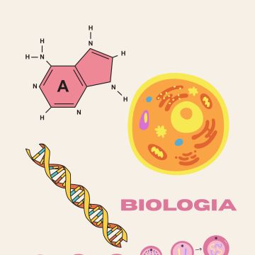 Inês Carolina Lucas - Lisboa - Explicações de Biologia