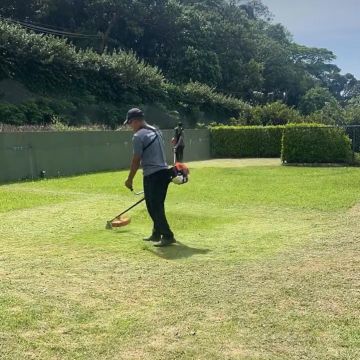 Jardinagem e tudo em ordem - Viana do Castelo - Baumpflege