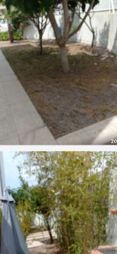 Serviço de Jardinagem