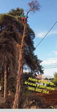 Môce do Mato - Arboricultura e Silvicultura - Loulé - Paisagismo Exterior