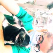 Madalena - Mangualde - Dog Sitting