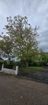 Jardinagem e Relvados