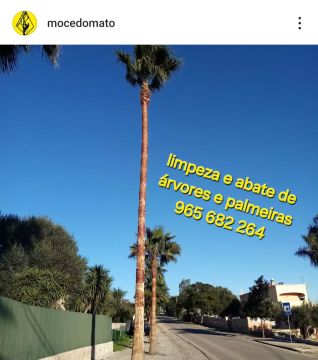 Môce do Mato - Arboricultura e Silvicultura - Loulé - Corte e Aparação de Relvado