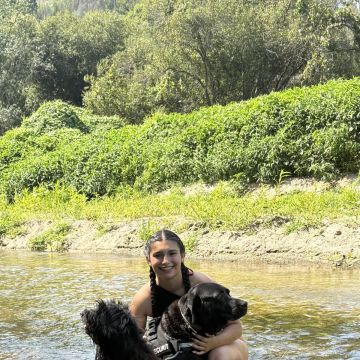sweet_tails - Gondomar - Hundeausführung