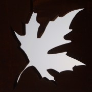 Cristina Carapuça #ideasinmotion - Portimão - Nature Photography