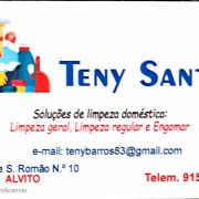 Teny Santos - Alvito - Limpeza de Persianas