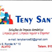 Teny Santos - Alvito - Window Blinds Cleaning