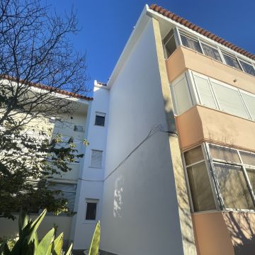 Pedro Rodrigues - Sintra - Limpieza para mudanzas