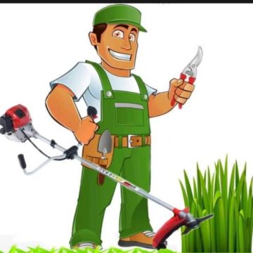Natura Construções - Beja - Tree Trimming and Maintenance