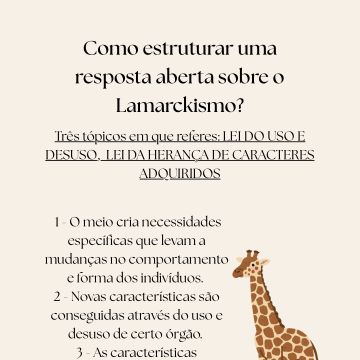 Inês Carolina Lucas - Lisboa - Explicações de Várias Disciplinas