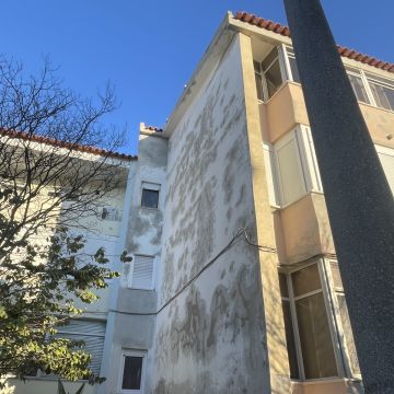 Pedro Rodrigues - Sintra - Limpieza comercial