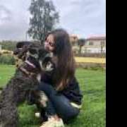 Pata D’ouro - Porto - Dog Sitting