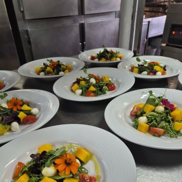 Rodica - Loulé - Cocineros y chefs personales