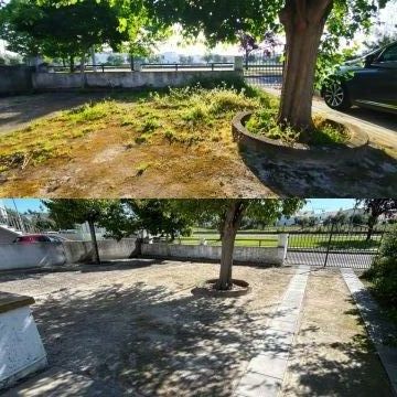 Transporte Ferraço - Abrantes - Tratamento de Relvado