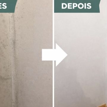 Diana - Paços de Ferreira - Limpeza de Propriedade