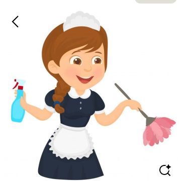 Vânia Novais -  - Property Cleanup