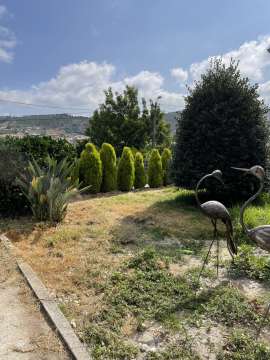 Serviço de Jardinagem