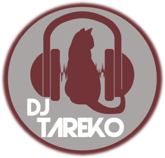 DJ TAREKO - Matosinhos - DJ para Festas e Eventos