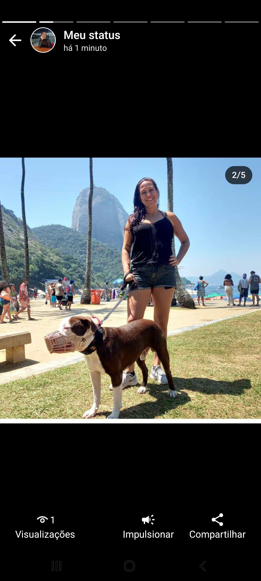 Renata carvalho - Faro - Pet Sitting e Pet Walking