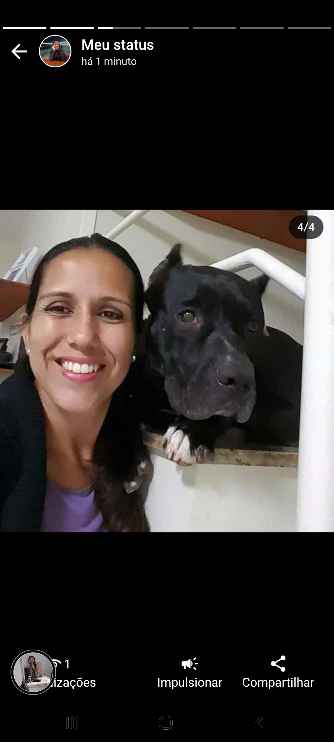 Renata carvalho - Faro - Cuidados para Animais de Estimação