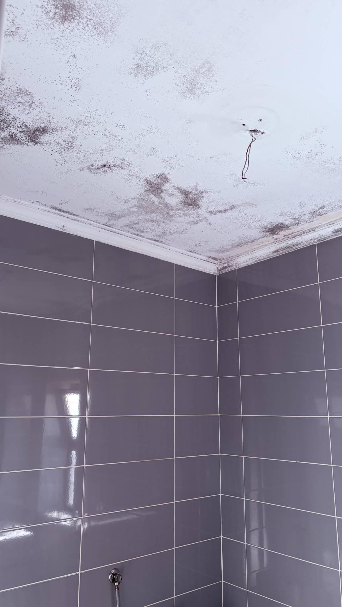 Serviços Gerais & Reparações - Viseu - Roof Installation or Replacement
