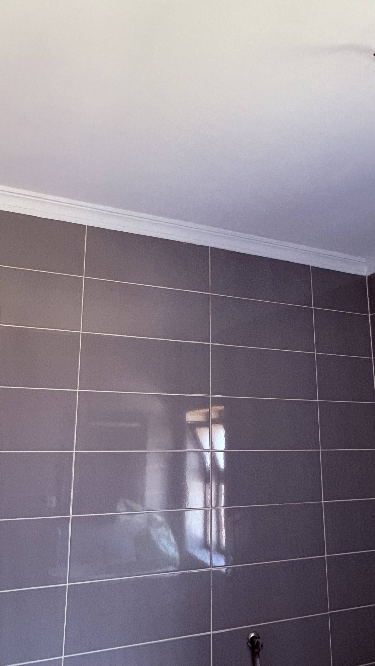 Serviços Gerais & Reparações - Viseu - Window Screen Work