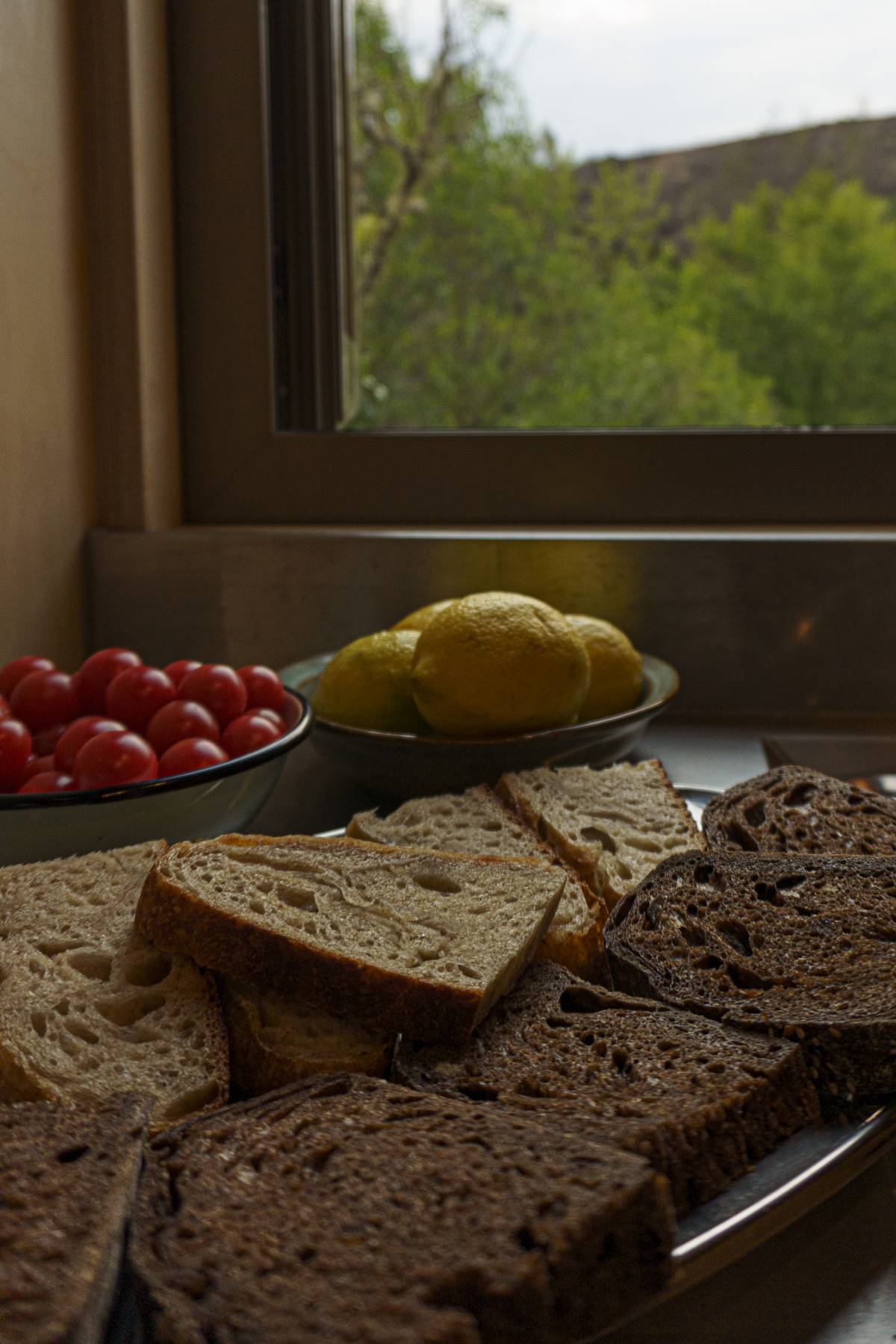 Seeds catering - Santa Maria da Feira - Catering Services